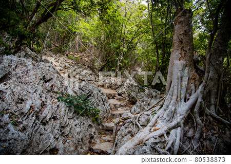 Phraya Nakhon Cave, Khua Kharuehat pavillion temple in Khao Sam Roi Yot National Park in Prachuap 80538873