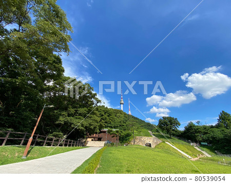 Seoul, South Korea | Hanyang City Wall & N Seoul Tower Summer Seoul, South Korea | Hanyang City Wall & N Seoul Tower Summer 80539054