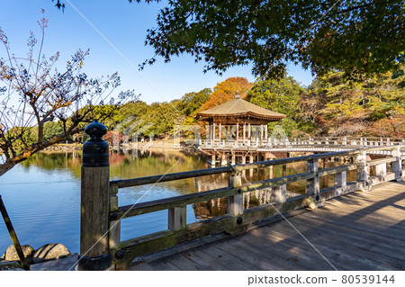 Ukimido floating in the beautiful autumn leaves of Sagiike in Nara Park, Nara City, Nara Prefecture 80539144