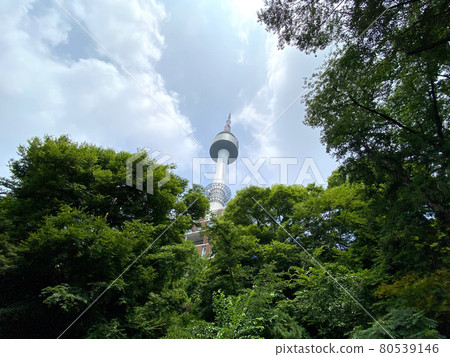 Seoul, South Korea | N Seoul Tower Summer Seoul, South Korea | N Seoul Tower Summer 80539146