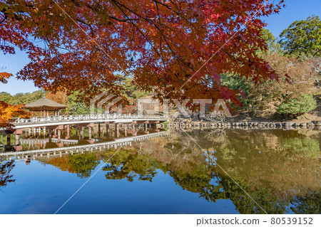 奈良縣奈良市奈良公園Sagiike美麗的秋葉中漂浮的浮見堂 奈良縣奈良市奈良公園Sagiike美麗的秋葉中漂浮的浮見堂 80539152