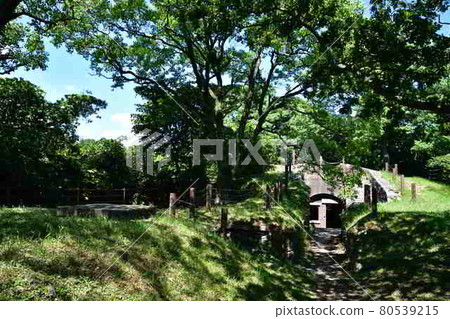 從日野山公園 從日野山公園 80539215