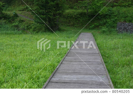 努力保護自然的黑藏沼澤 努力保護自然的黑藏沼澤 80540205