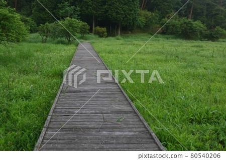 Boardwalk in Kurozo Marsh 80540206