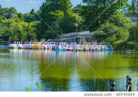 Summer in Tokyo Ueno Onshi Park Shinobazu Pond Boat Dock 80540894