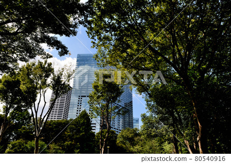 Scenery of skyscrapers from Shinjuku Central Park Scenery of skyscrapers from Shinjuku Central Park 80540916