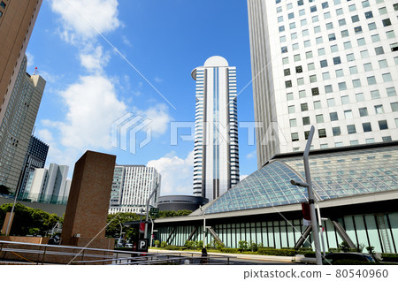 從新宿中央公園看摩天大樓的風景 80540960
