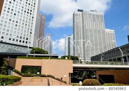 Scenery of skyscrapers from Shinjuku Central Park 80540963