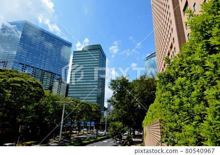 Scenery of skyscrapers from Shinjuku Central Park Scenery of skyscrapers from Shinjuku Central Park 80540967