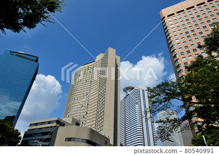 從新宿中央公園看摩天大樓的風景 80540991