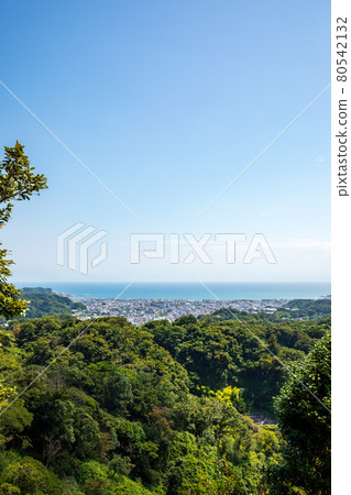 鎌倉市,從天念遠足路線看到的海和山 鎌倉市,從天念遠足路線看到的海和山 80542132