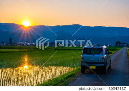 Rural scenery in early summer (dusk) Rural scenery in early summer (dusk) 80542187