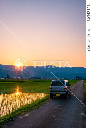 Rural scenery in early summer (dusk) Rural scenery in early summer (dusk) 80542198