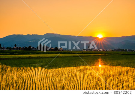 初夏的田園風光(黃昏) 初夏的田園風光(黃昏) 80542202