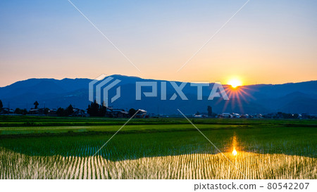 Rural scenery in early summer (dusk) 80542207
