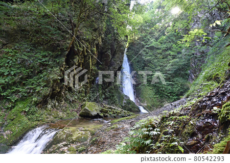 岩井谷大龍頭 岩井谷大龍頭 80542293