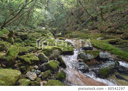 岩井谷大龍頭 岩井谷大龍頭 80542297