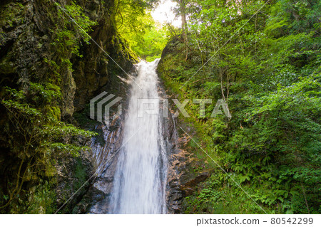 Great Dragon Head of Iwai Valley Great Dragon Head of Iwai Valley 80542299