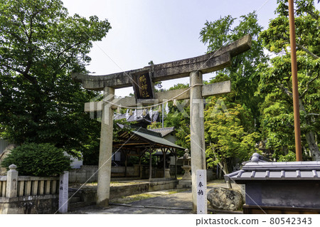 岡山縣淺口市加茂神社鳥居 80542343