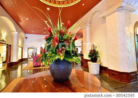 夏威夷的假期 80542595