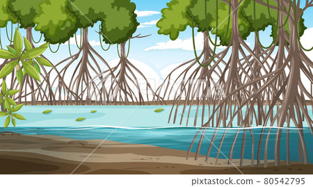 Mangrove forest landscape scene at daytime 80542795