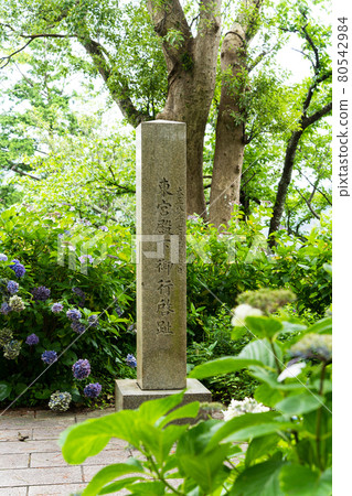 【靜岡縣】下田公園 80542984