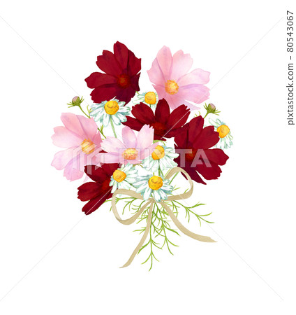 水彩秋櫻花和洋甘菊花束 水彩秋櫻花和洋甘菊花束 80543067