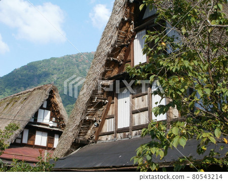 五箇山合掌造民宅 富山縣南都市 五箇山合掌造民宅 富山縣南都市 80543214