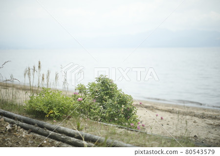 Walking path from the campsite Campsite Summer vacation Early summer Summer summer resort Lake 80543579