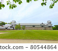 Kanazawa Castle that shines in green 80544864