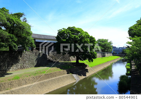 Kumamoto Castle long wall and harness turret 80544901