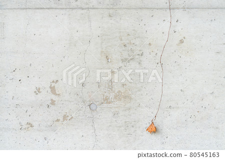 未完成的混凝土和植物背景材料/紋理 80545163