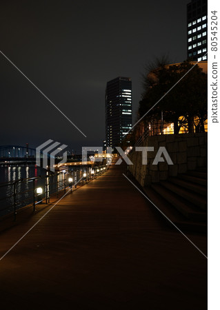 灣區夜景 灣區夜景 80545204
