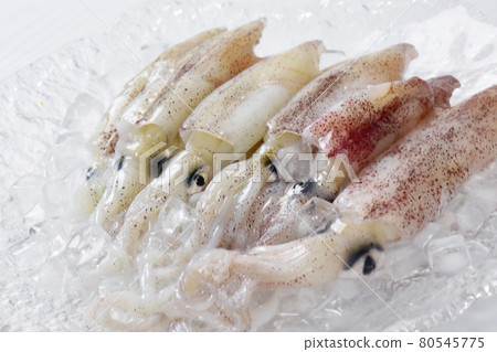 Freshly picked squid squid at the fishing port direct sales office Freshly picked squid squid at the fishing port direct sales office 80545775