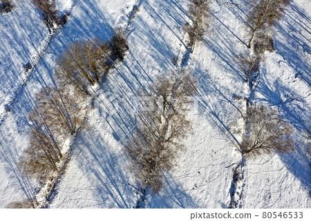 Winter aerial view of drainage ditches with trees on a snowy farmland 80546533