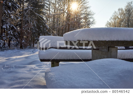 Bench and table at a resting place, covered by fresh snow, with the backlight of the sun behind the branches of trees Bench and table at a resting place, covered by fresh snow, with the backlight of the sun behind the branches of trees 80546542