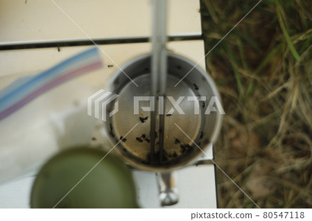 恐怖的營地，螞蟻，螞蟻，成群結隊 80547118