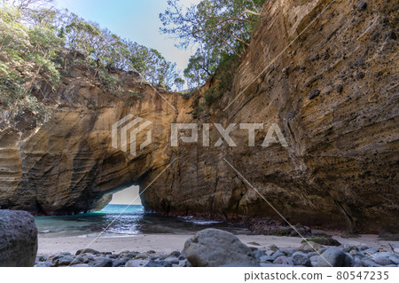 [Shizuoka Prefecture] Ryugu Cave 80547235