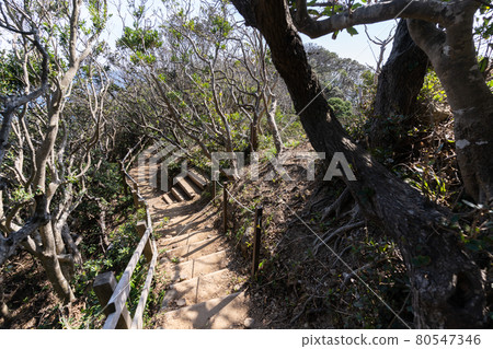 【靜岡縣】龍宮洞窟 80547346