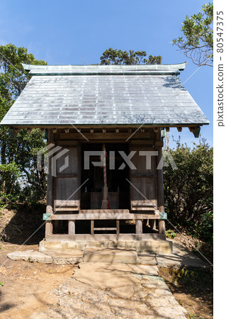 【靜岡縣】龍宮洞窟 80547375