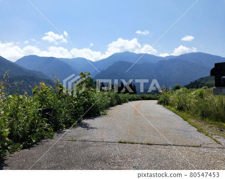 Summer mountain path 80547453