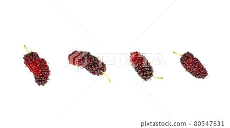 Mulberry fruits with isolated on white background 80547831