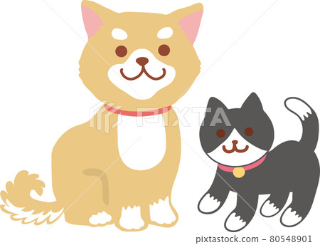 Shiba Inu 和黑色領帶貓 _ 全身圖像 80548901