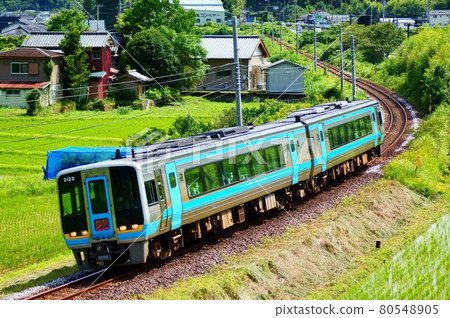 2000 series, limited express Ashizuri bird's-eye view 80548905