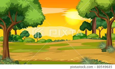 Blank landscape scene of nature park at sunset time 80549685