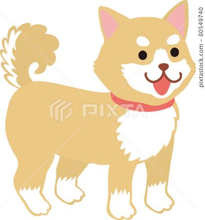 柴犬_站著 80549740