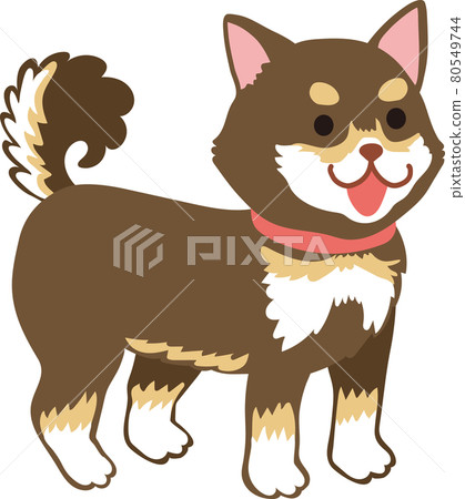 Black Shiba Inu _ Standing 80549744