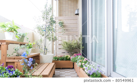 Veranda gardening, plants, flowers Veranda gardening, plants, flowers 80549961