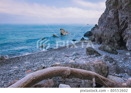 [Starting point of Kakai Shindo] Driftwood and the sea [Summer Oyashirazu Beach] 80551602