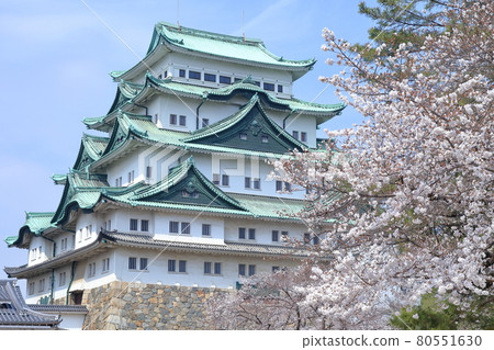The castle tower without gold sardines (Nagoya Castle, Nagoya City, Aichi Prefecture, 2021) 80551630